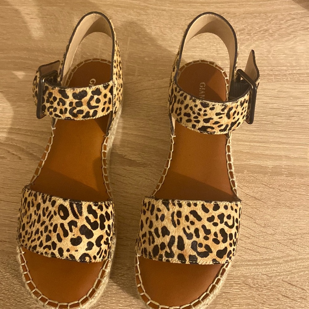 Cheetah print plant form sanded